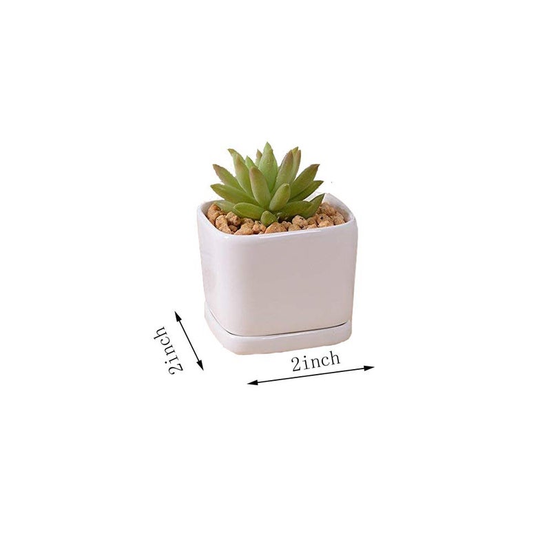 SeaStar Ceramic Succulent Mini Planter Pot,Mini 6 Set 2x1.65x2inch Square Modern Minimalist White/Window Box with Saucer for Office,Desk,House Balcony Landscape - Image 3